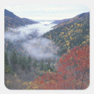 USA, Tennessee, Great Smokey Mountains National Square Sticker