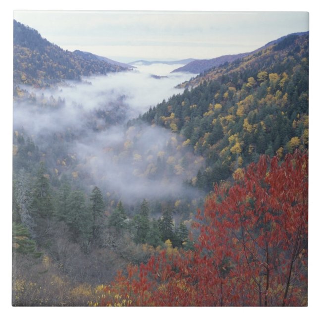 USA, Tennessee, Great Smokey Mountains National Tile (Front)