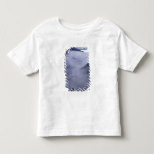 USA, Tennessee. Great Smokey Mountains National Toddler T-Shirt