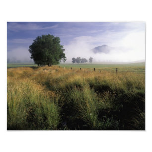 USA, Tennessee, Great Smokey Mountains Photo Print
