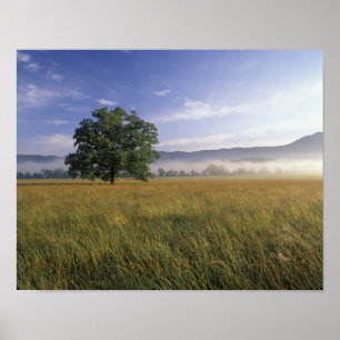 USA, Tennessee. Great Smokey Mountains Poster