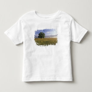 USA, Tennessee. Great Smokey Mountains Toddler T-Shirt