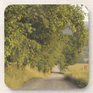 USA, Tennessee, Great Smoky Mountains National 2 Coaster