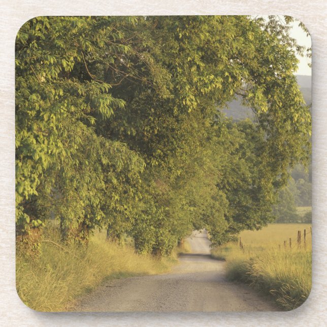 USA, Tennessee, Great Smoky Mountains National 2 Coaster (Front)