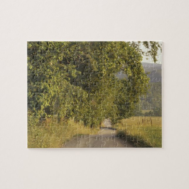 USA, Tennessee, Great Smoky Mountains National 2 Jigsaw Puzzle (Horizontal)