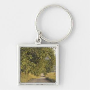 USA, Tennessee, Great Smoky Mountains National 2 Key Ring