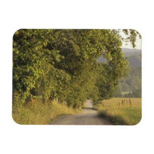 USA, Tennessee, Great Smoky Mountains National 2 Magnet
