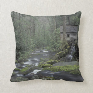USA, Tennessee, Great Smoky Mountains National 3 Cushion