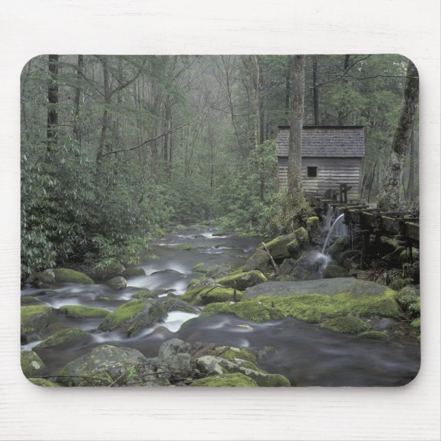 USA, Tennessee, Great Smoky Mountains National 3 Mouse Pad (Front)