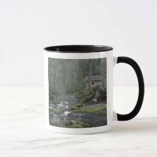USA, Tennessee, Great Smoky Mountains National 3 Mug