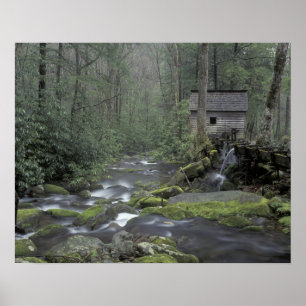 USA, Tennessee, Great Smoky Mountains National 3 Poster
