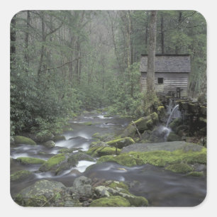 USA, Tennessee, Great Smoky Mountains National 3 Square Sticker