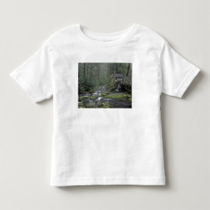 USA, Tennessee, Great Smoky Mountains National 3 Toddler T-Shirt