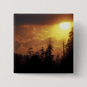 USA, Tennessee, Great Smoky Mountains NP. 2 15 Cm Square Badge