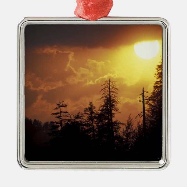 USA, Tennessee, Great Smoky Mountains NP. 2 Metal Ornament (Front)