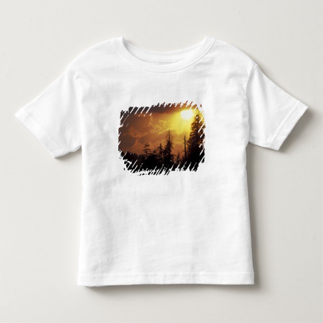 USA, Tennessee, Great Smoky Mountains NP. 2 Toddler T-Shirt (Front)