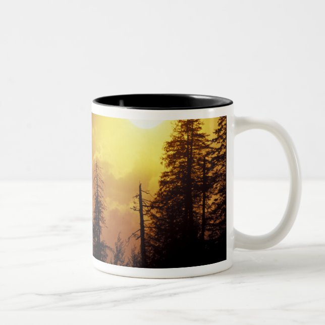 USA, Tennessee, Great Smoky Mountains NP. 2 Two-Tone Coffee Mug (Right)