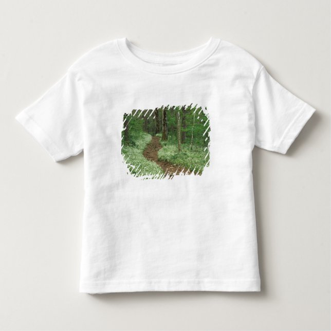 USA, Tennessee, Great Smoky Mountains NP, 3 Toddler T-Shirt (Front)