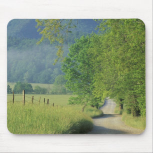 USA, Tennessee, Great Smoky Mountains NP, Mouse Pad