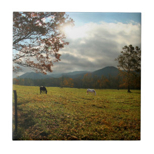 USA, Tennessee. Horses In Cades Cove Valley Ceramic Tile