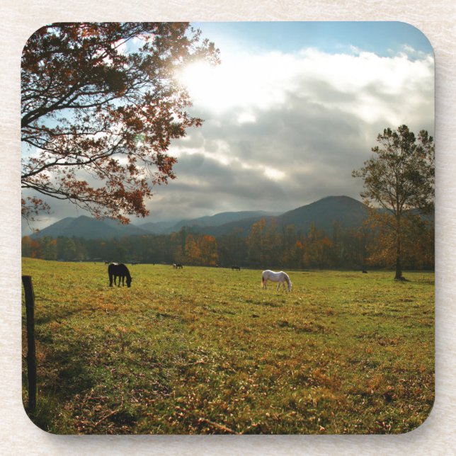 USA, Tennessee. Horses In Cades Cove Valley Coaster (Front)
