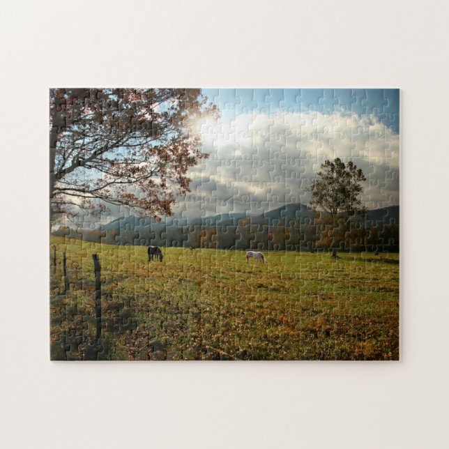 USA, Tennessee. Horses In Cades Cove Valley Jigsaw Puzzle (Horizontal)