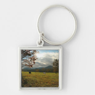 USA, Tennessee. Horses In Cades Cove Valley Key Ring
