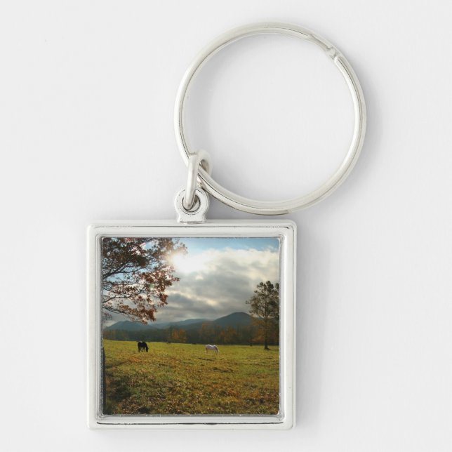 USA, Tennessee. Horses In Cades Cove Valley Key Ring (Front)