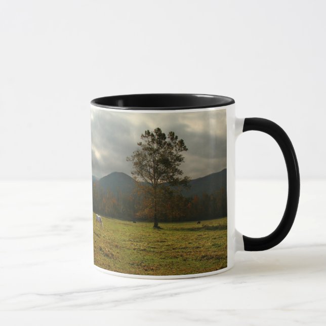 USA, Tennessee. Horses In Cades Cove Valley Mug (Right)