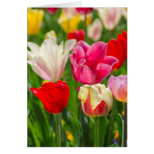 USA, Tennessee, Nashville