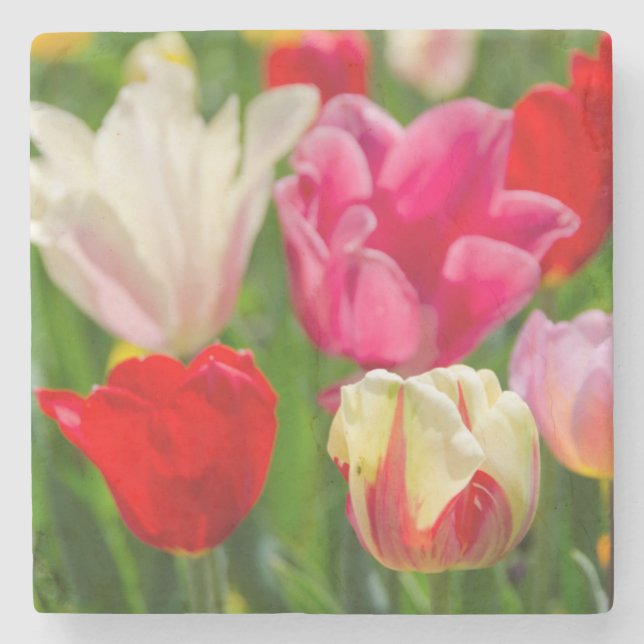 USA, Tennessee, Nashville Stone Coaster (Front)