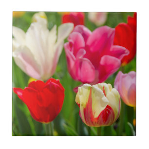 USA, Tennessee, Nashville Tile