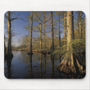 USA, Tennessee. Reelfoot National Wildlife Mouse Pad