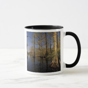 USA, Tennessee. Reelfoot National Wildlife Mug