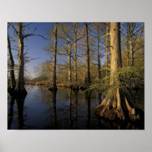 USA, Tennessee. Reelfoot National Wildlife Poster