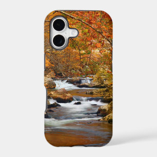 USA, Tennessee. Rushing Mountain Creek