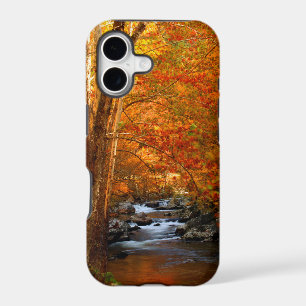 USA, Tennessee. Rushing Mountain Creek 2
