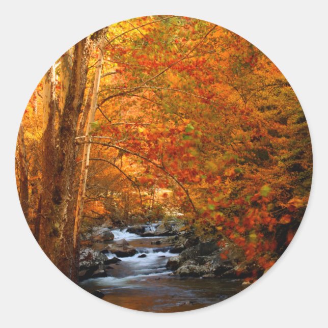 USA, Tennessee. Rushing Mountain Creek 2 Classic Round Sticker (Front)