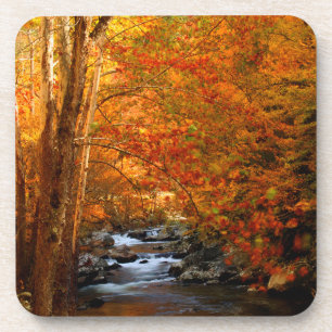 USA, Tennessee. Rushing Mountain Creek 2 Coaster