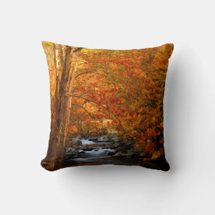 USA, Tennessee. Rushing Mountain Creek 2 Cushion