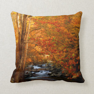 USA, Tennessee. Rushing Mountain Creek 2 Cushion