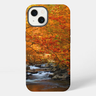 USA, Tennessee. Rushing Mountain Creek 2 iPhone Case