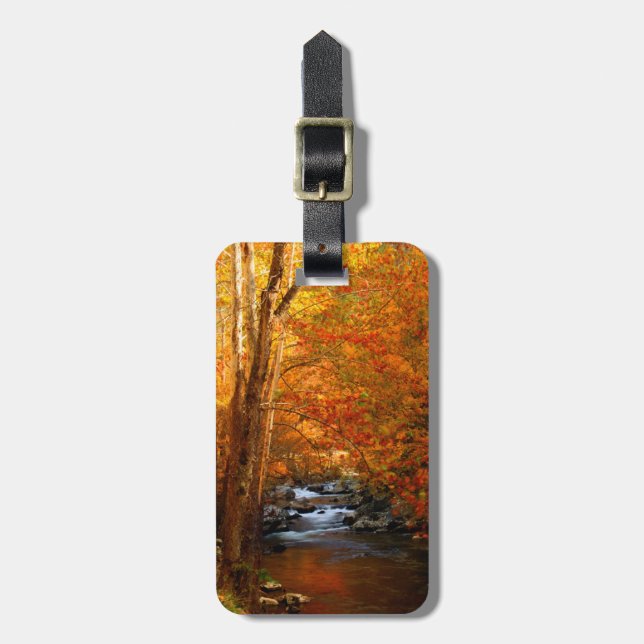 USA, Tennessee. Rushing Mountain Creek 2 Luggage Tag (Front Vertical)