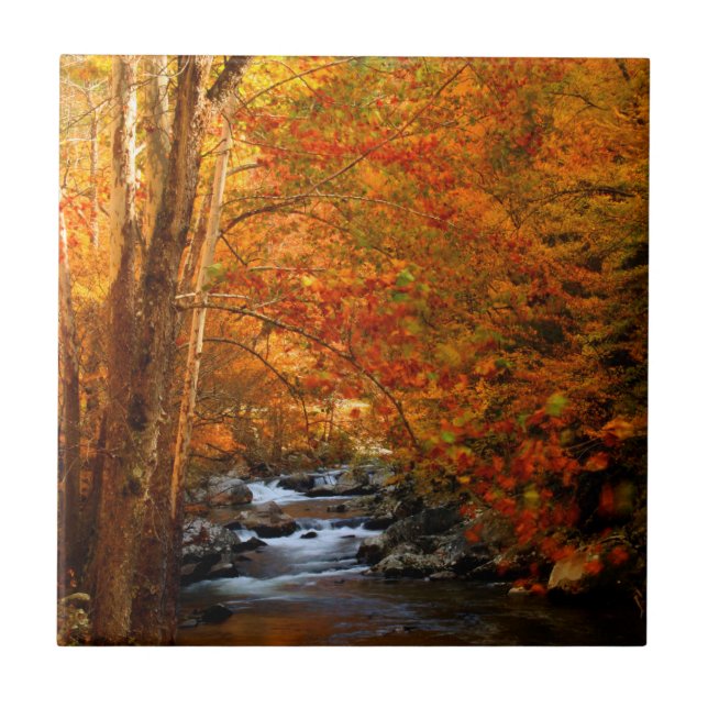USA, Tennessee. Rushing Mountain Creek 2 Tile (Front)