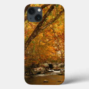 USA, Tennessee. Rushing Mountain Creek 3 iPhone 13 Case