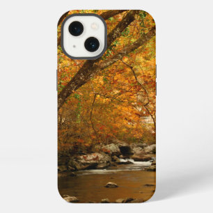USA, Tennessee. Rushing Mountain Creek 3 iPhone 13 Case