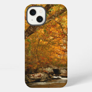 USA, Tennessee. Rushing Mountain Creek 3 iPhone Case