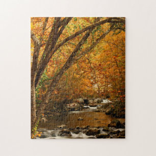 USA, Tennessee. Rushing Mountain Creek 3 Jigsaw Puzzle