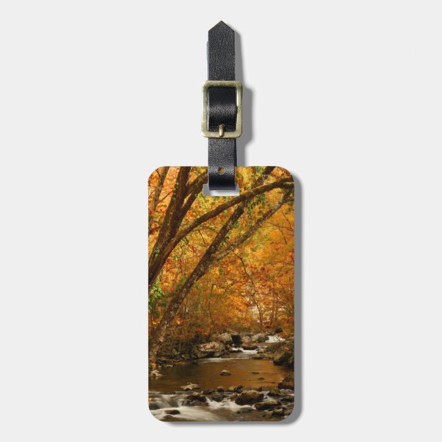 USA, Tennessee. Rushing Mountain Creek 3 Luggage Tag (Front Vertical)