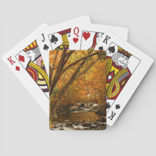 USA, Tennessee. Rushing Mountain Creek 3 Playing Cards